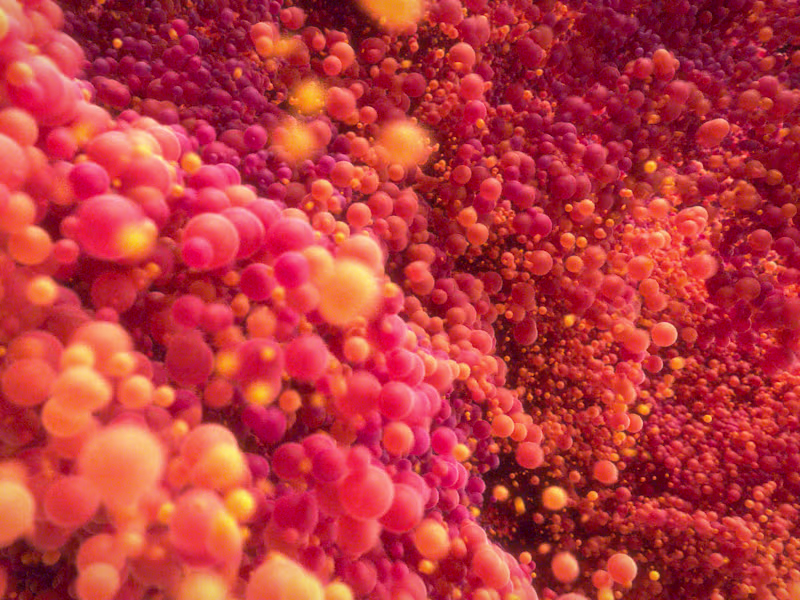 Cover image for Advanced 3D Graphics with Houdini Specialist
