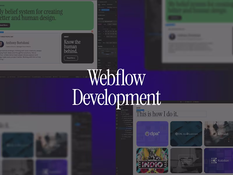 Cover image for Seamless Webflow Development for your Website