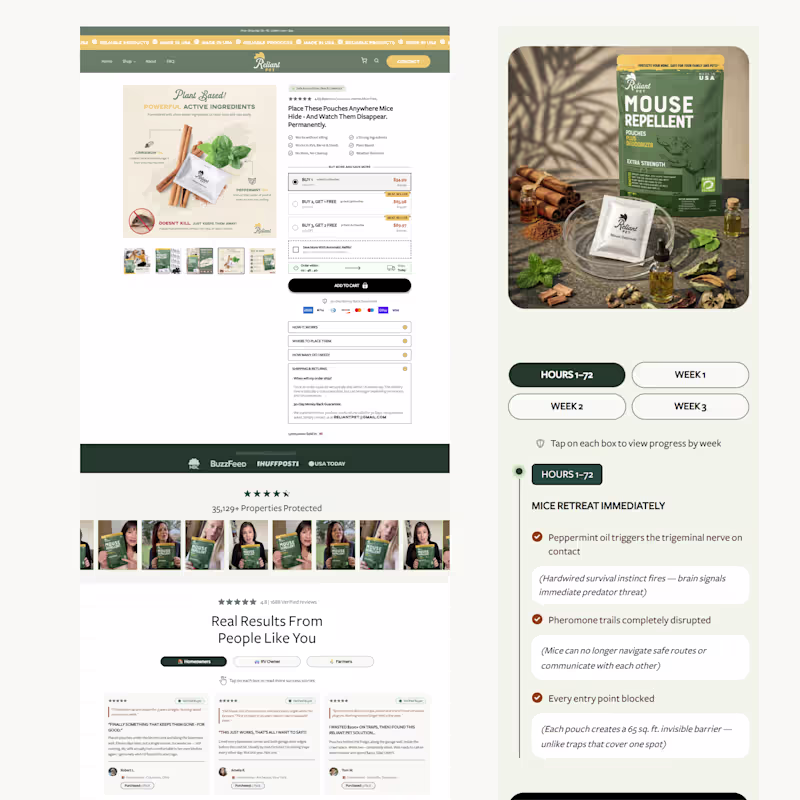Cover image for This is a full Shopify