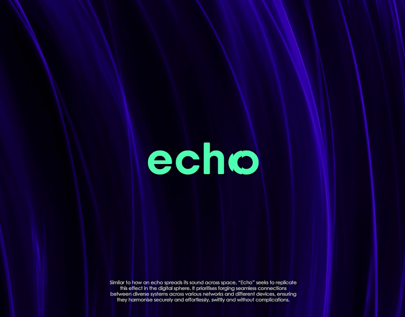 Cover image for visual identity for the Echo smart payment system