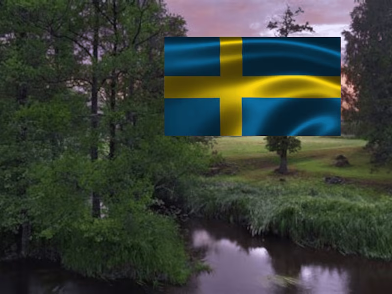 Cover image for English-Swedish translation for websites and articles