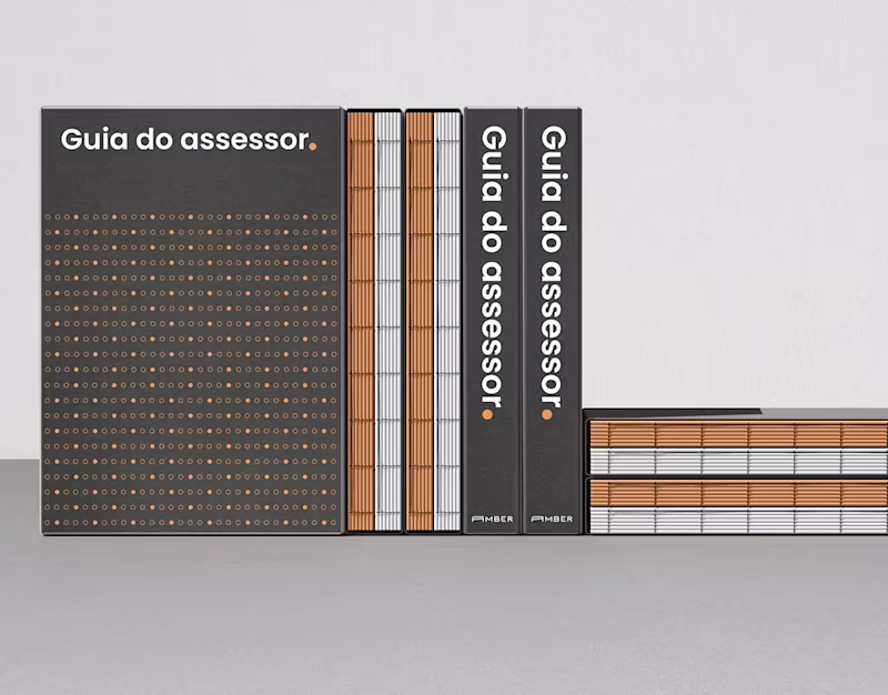 Cover image for Amber - Investor's Books Collection