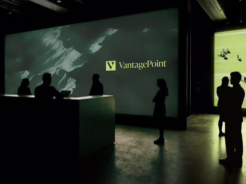 Cover image for Financial Visual Identity for VantagePoint