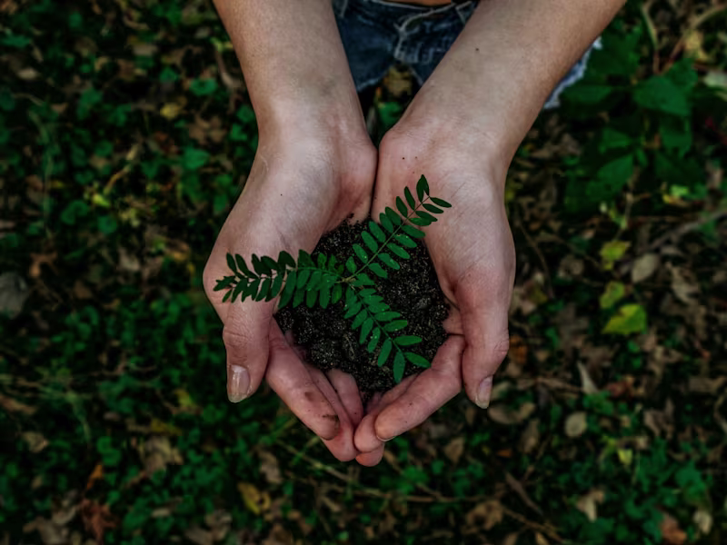 Cover image for Blog Copy: Partnership in Tree Planting