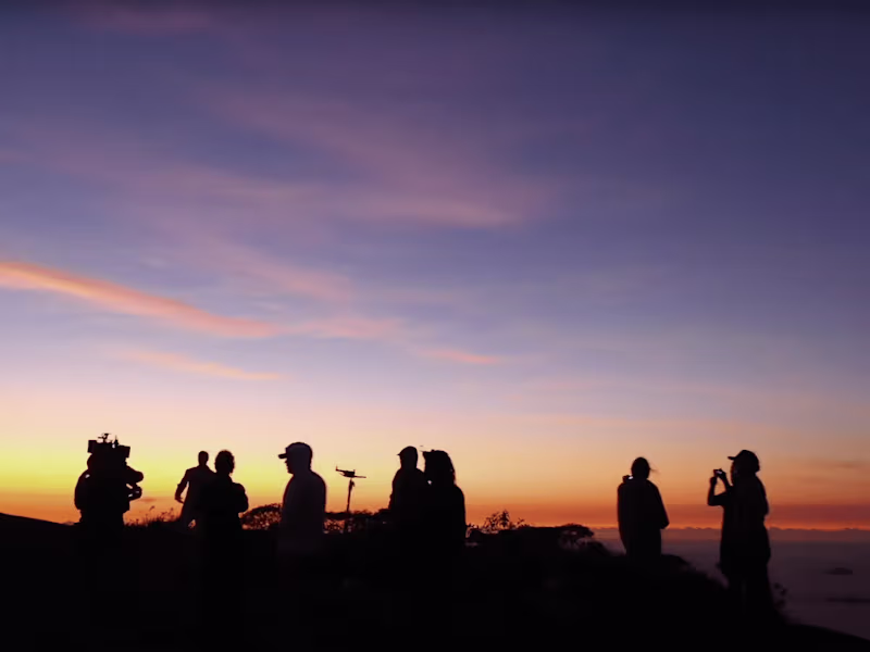 Cover image for MTV award Nominated Music Video