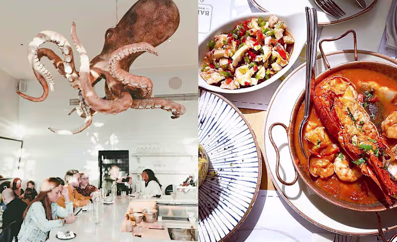 Cover image for Ocean Delicacies: 10 Must-Try Restaurants For Seafood Lovers In…