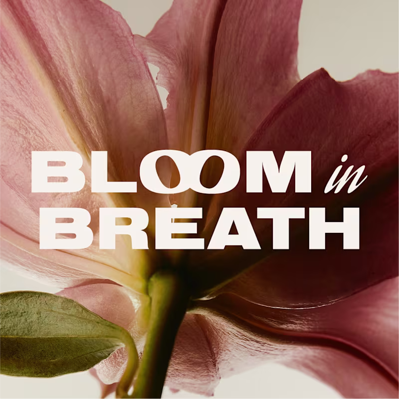 Cover image for Bloom in Breath | Branding & website design