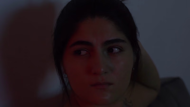 Cover image for Valeria Lima(Directing/Editing Reel 2023) 