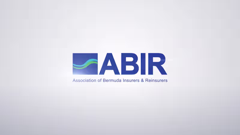 Cover image for ABIR // logo animation