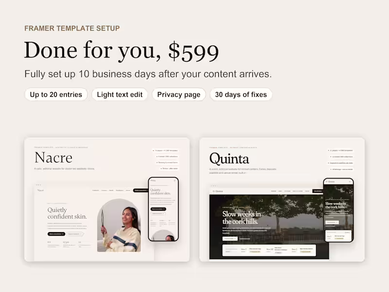 Cover image for Framer template setup - Done for you
