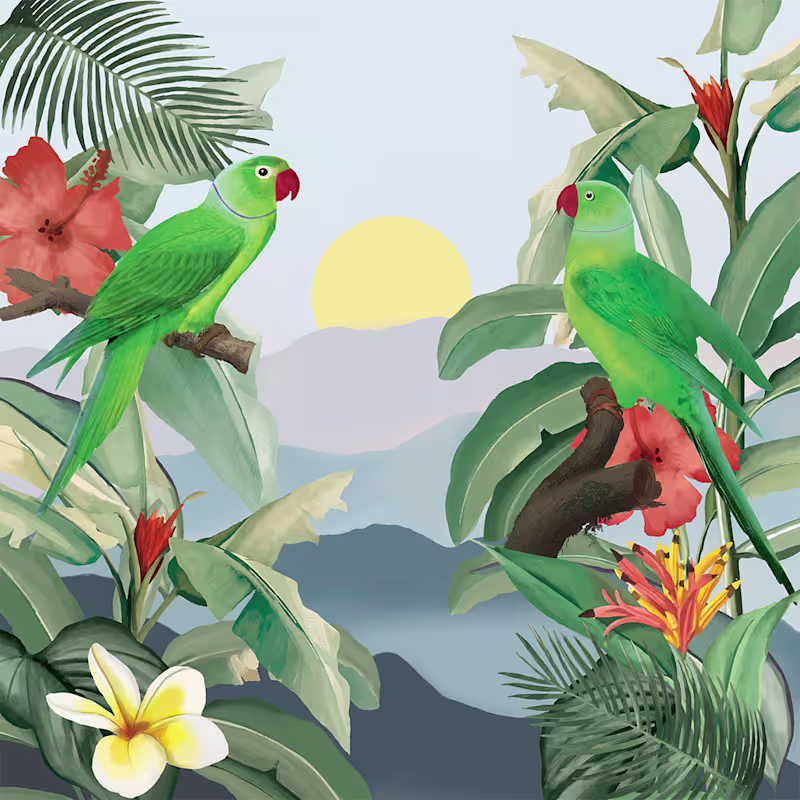 Cover image for Collection of Original Art Prints