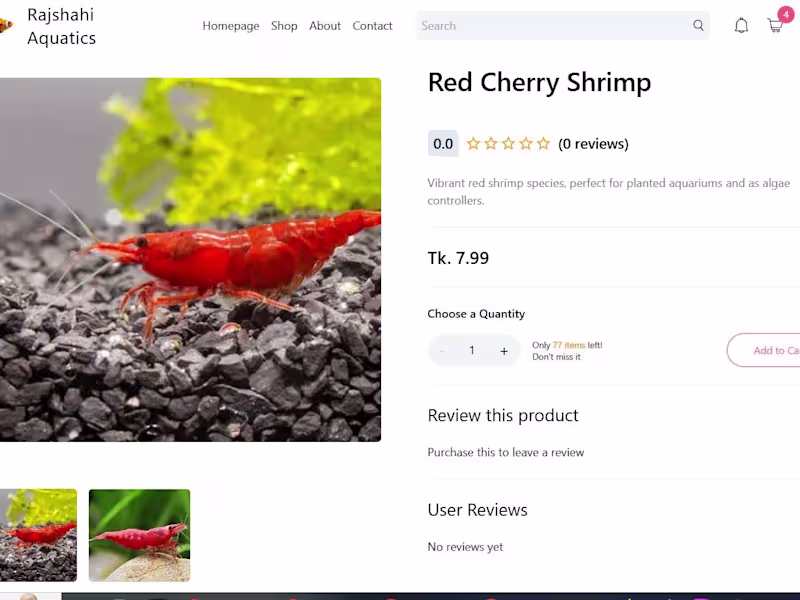 Cover image for E-commerce Website Development