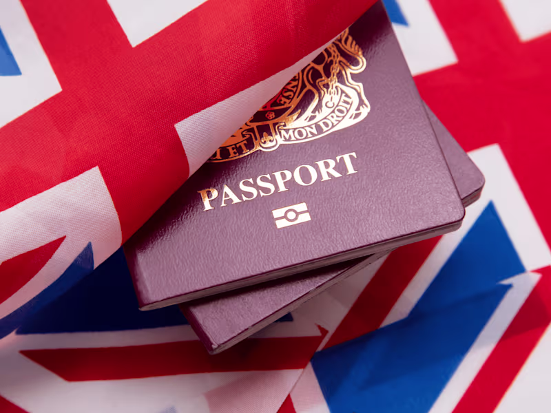 Cover image for Immigration Laws