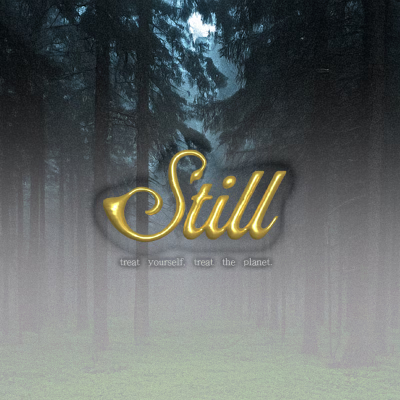 Cover image for STILL- clean makeup