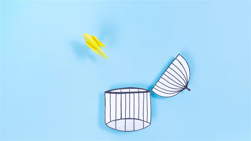Cover image for Freedom. Stop motion animation.