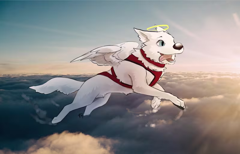 Cover image for Pet related artwork
