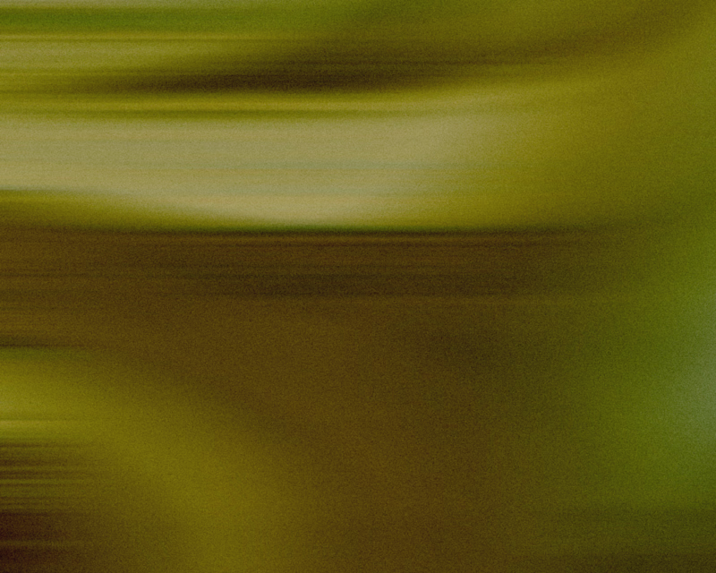 Cover image for Brand  Visual Identity