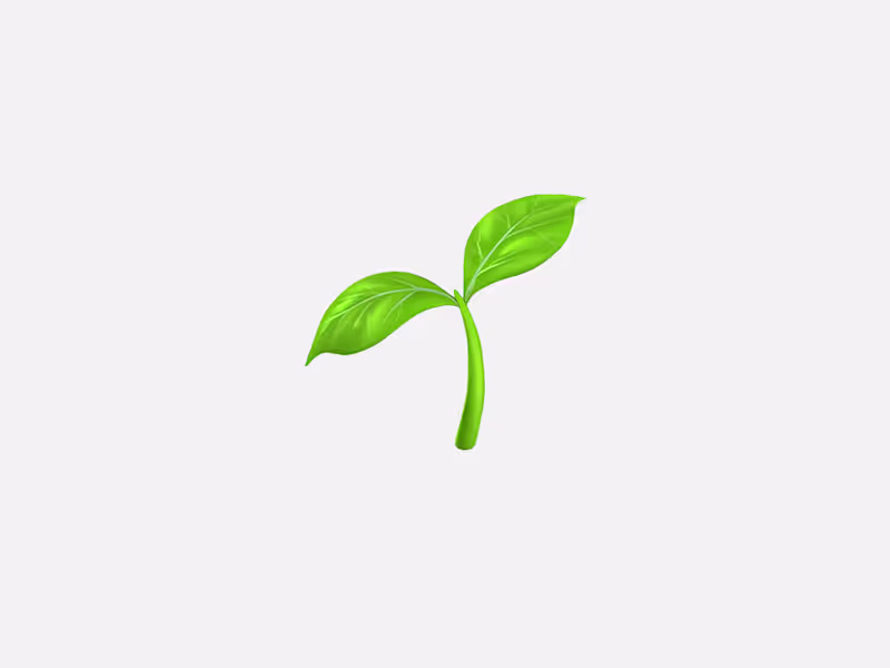 Cover image for 🌿 Starter Brand Kit – The Foundation
