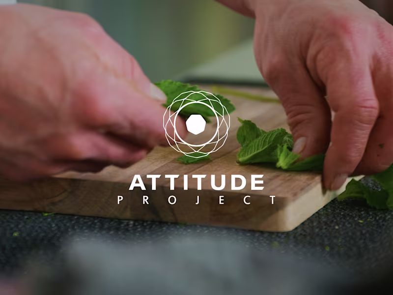 Cover image for Attitude Project - Zenith | Short Documentary Film