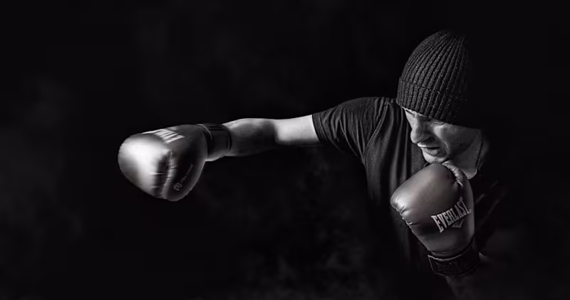 Cover image for The Punch Pro Product Collection Pages