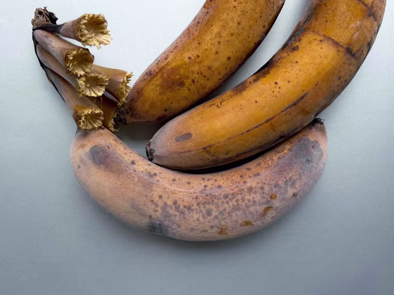 Cover image for Meticulous, editorial, food photography