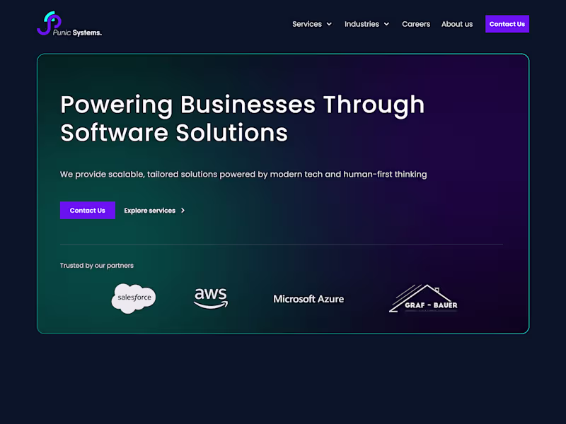 Cover image for Punic Systems Website Design