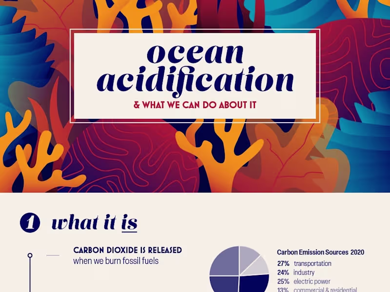 Cover image for Infographic: Ocean Acidification