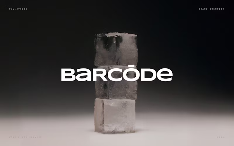Cover image for I built the full BARCODE