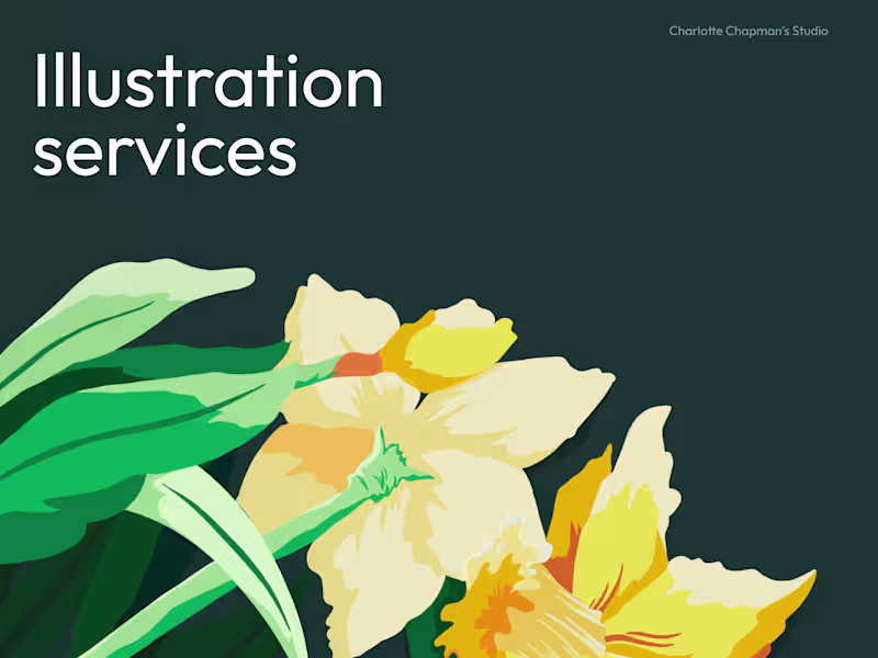 Cover image for Illustration Services