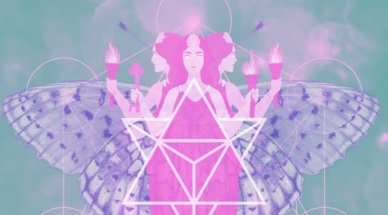 Cover image for The Importance of Witches