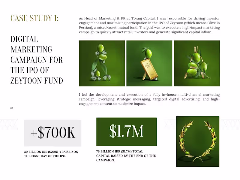 Cover image for Digital Marketing Campaign for the IPO of Zeytoon Fund