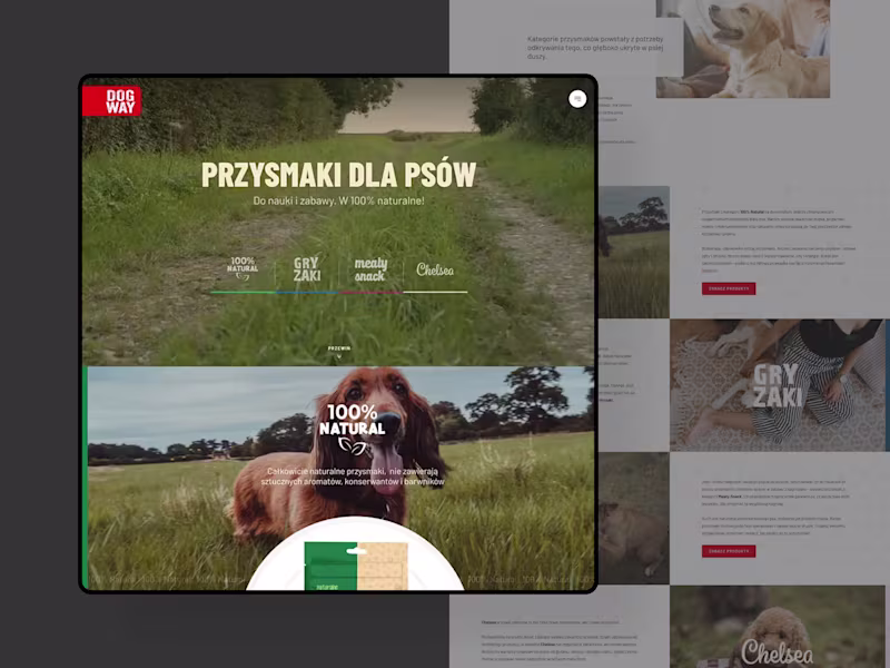 Cover image for Website UX and UI design
