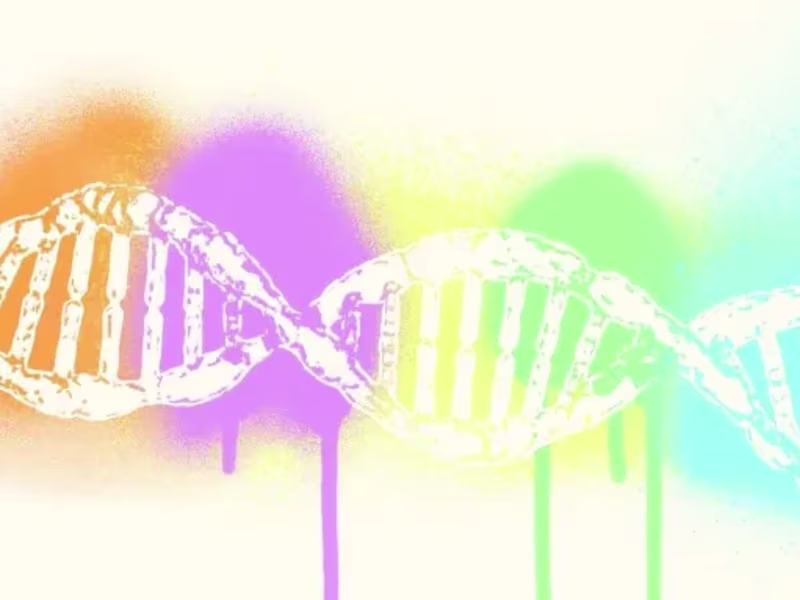Cover image for Pre-conception genetic counselling