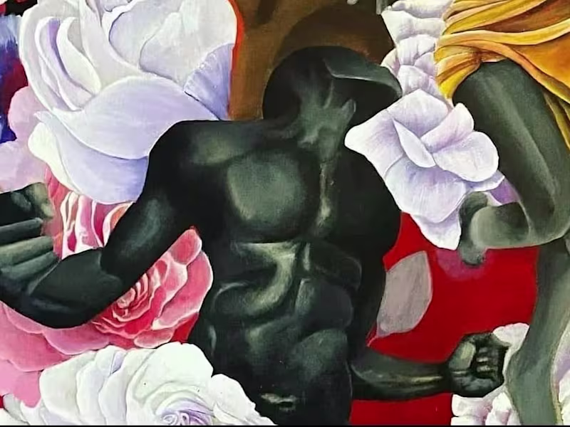 Cover image for Book illustrations