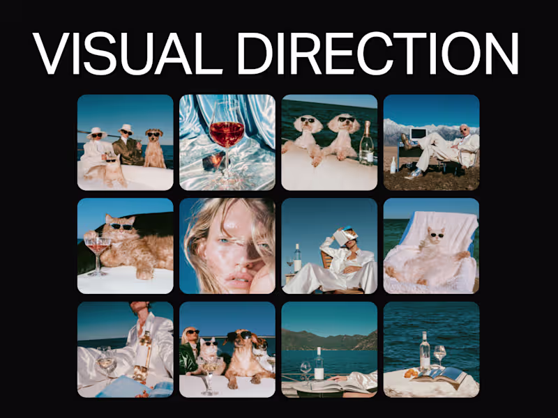 Cover image for Visual Direction (Brand)