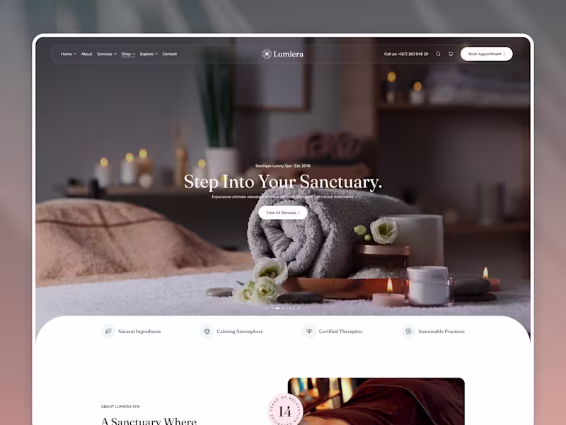 Cover image for Lumiera just went live on