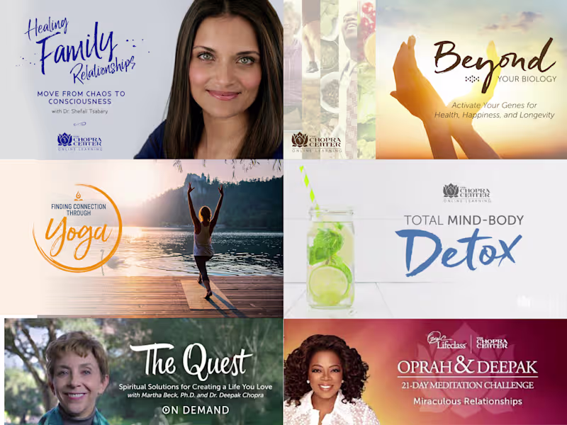 Cover image for The Chopra Center for Wellbeing
Director