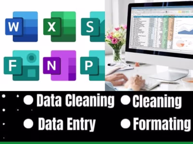 Cover image for DATA ENTRY 