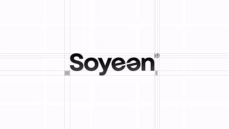 Cover image for Logo and Visual Identity