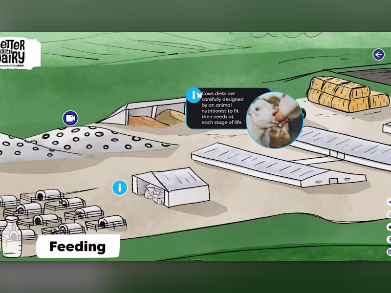 Cover image for Dairymax Web Experience