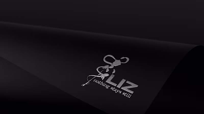 Cover image for LIZ - "Nothing stays still" : Behance
