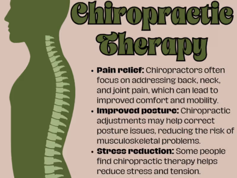 Cover image for Zen Chiro