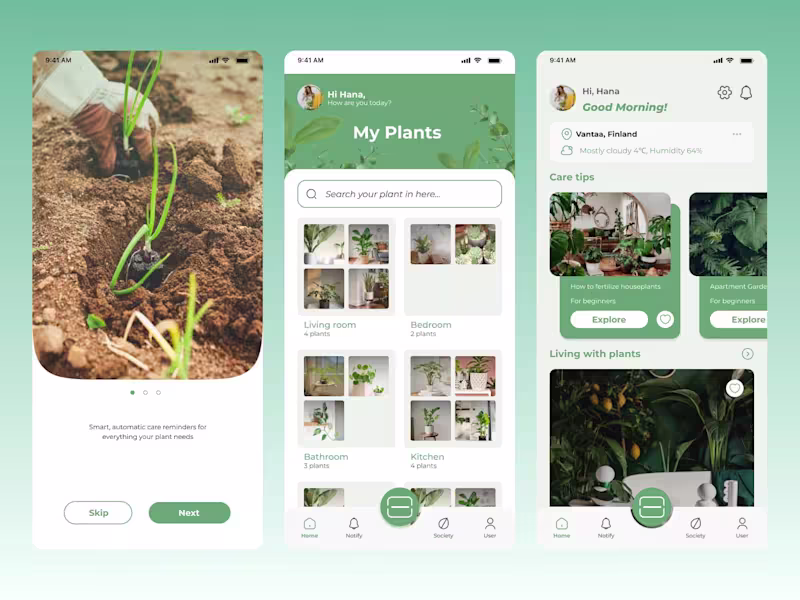 Cover image for Graphic and UI/UX designer