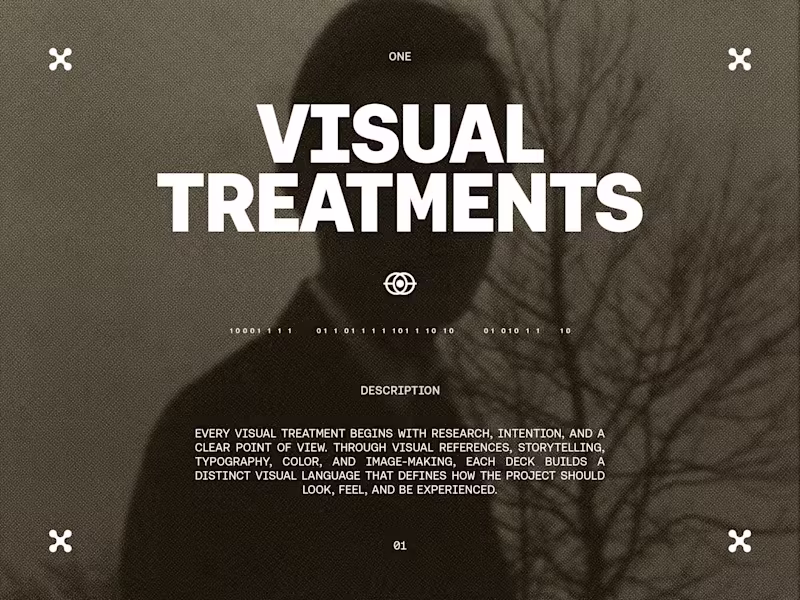 Cover image for Every visual treatment begins with