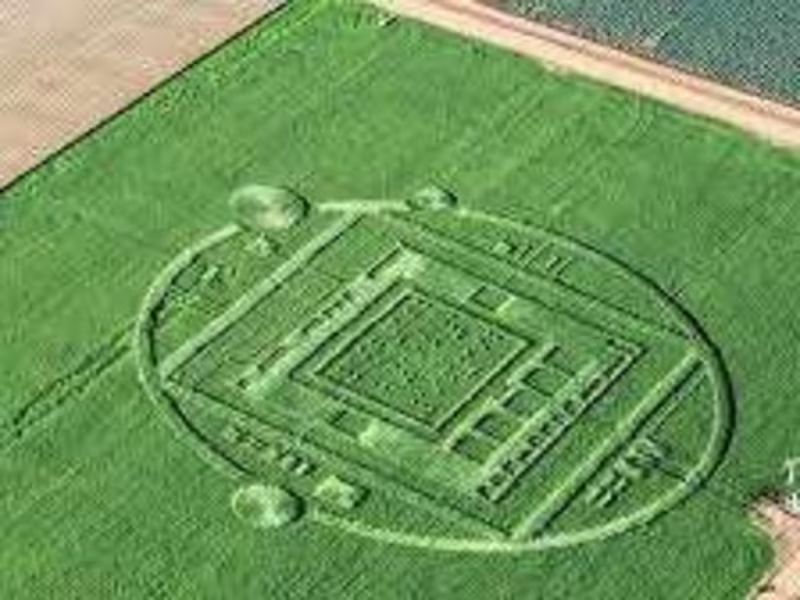 Cover image for Alien Abduction? Mysterious Lights and Crop Circles Baffle Resid