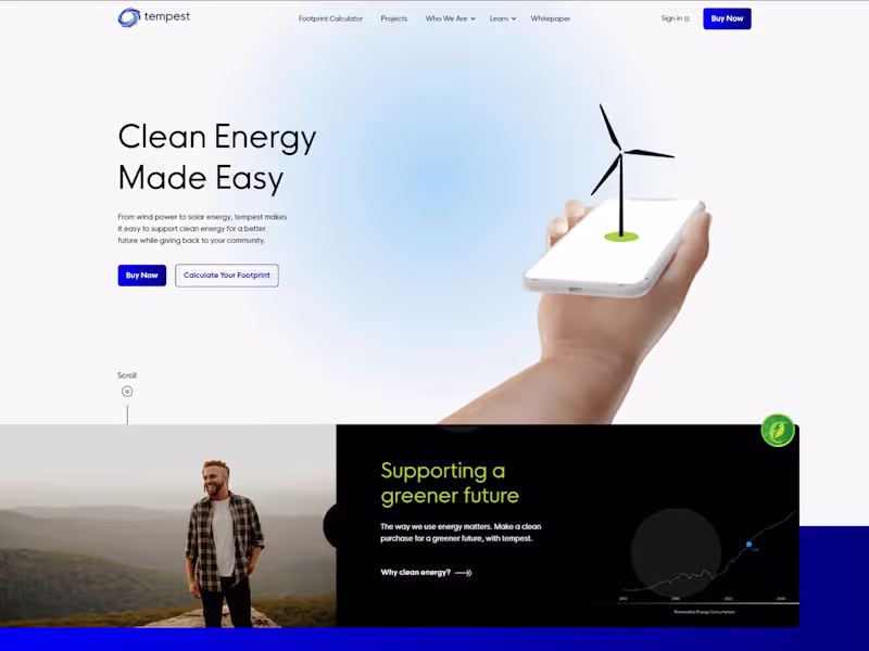 Cover image for Webflow Development