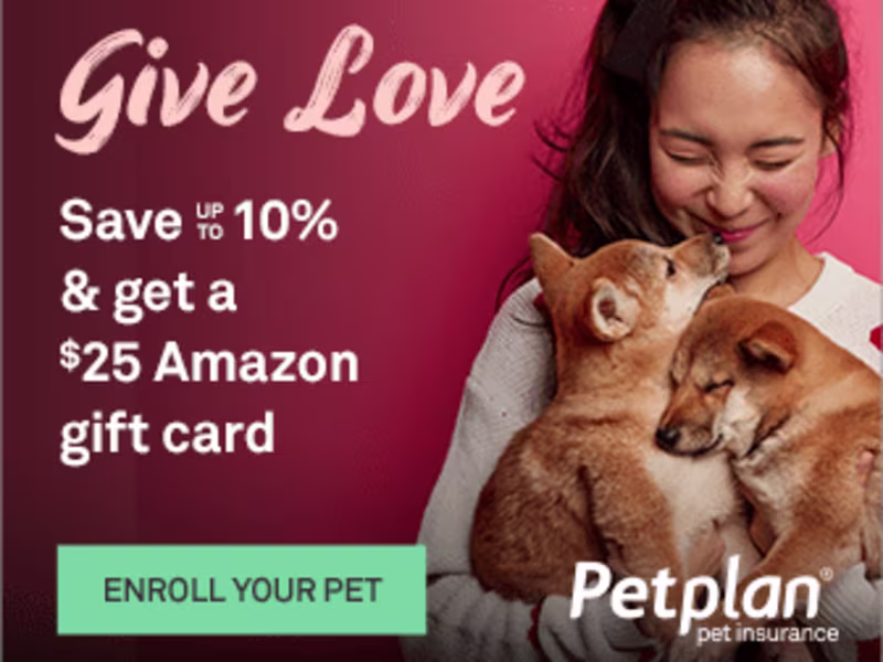 Cover image for Give Love Campaign