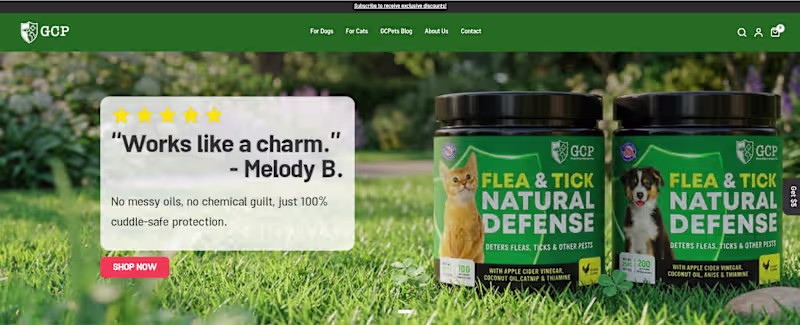Cover image for Just completed a new homepage