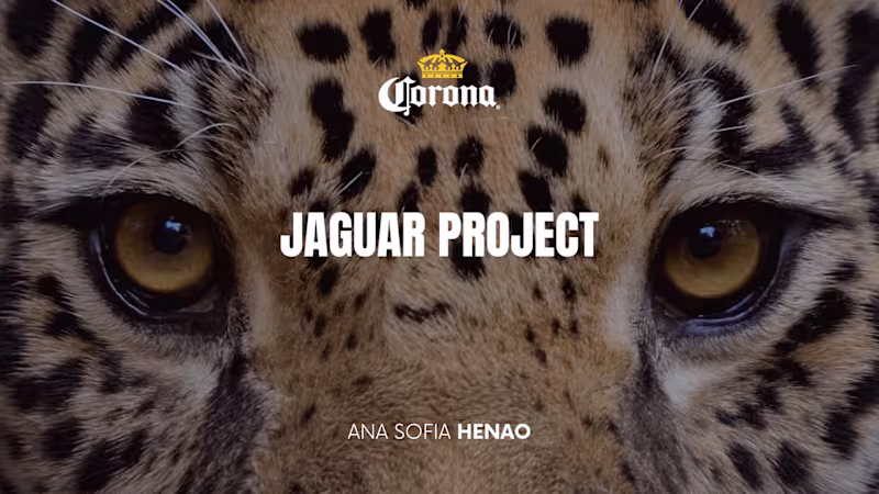 Cover image for Jaguar Project on Behance