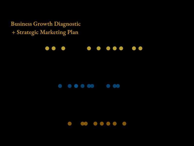 Cover image for Business Growth Diagnostic + Strategic Marketing Plan